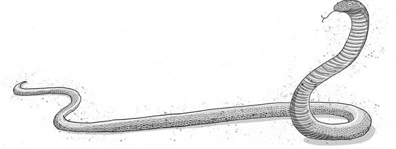 Школа волшебных зверей. Выключите свет! Школа волшебных зверей. Выключите свет!