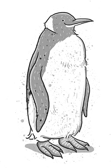 Школа волшебных зверей. Выключите свет!