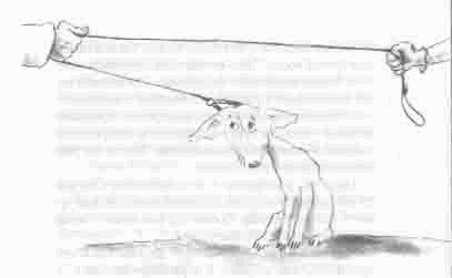 Чудаки и зануды Чудаки и зануды