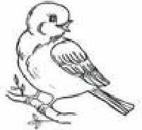 Сказки Белого воробья Сказки Белого воробья