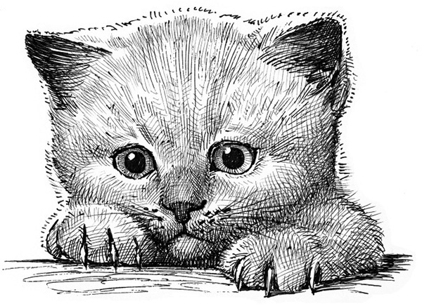 Мильтон и Булька Мильтон и Булька