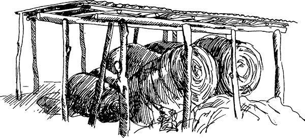 Мильтон и Булька Мильтон и Булька