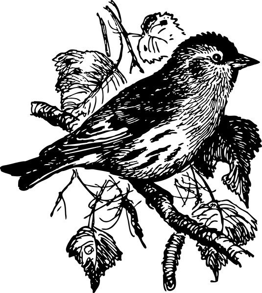 Мильтон и Булька Мильтон и Булька