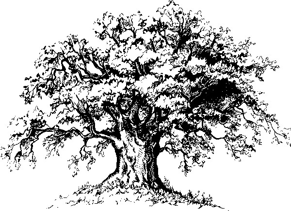 Мильтон и Булька Мильтон и Булька