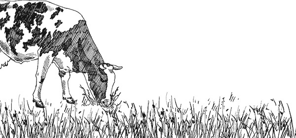 Мильтон и Булька Мильтон и Булька