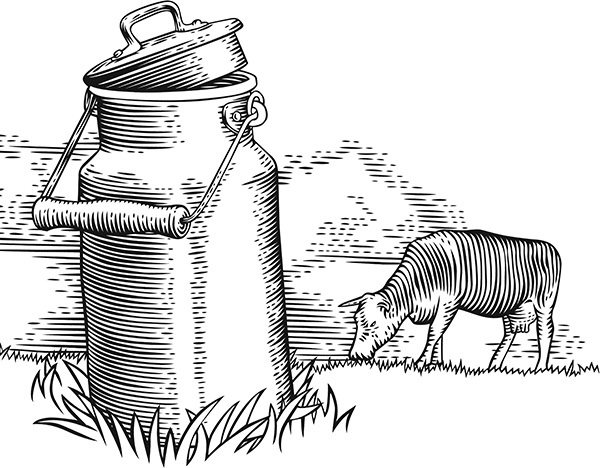 Мильтон и Булька Мильтон и Булька