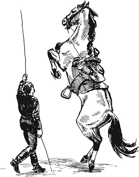 Мильтон и Булька Мильтон и Булька