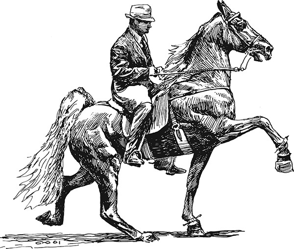 Мильтон и Булька Мильтон и Булька