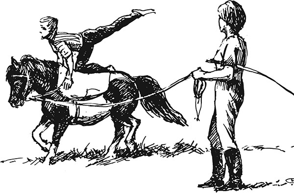 Мильтон и Булька Мильтон и Булька