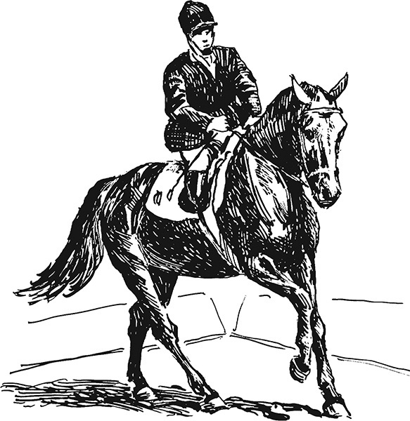 Мильтон и Булька Мильтон и Булька