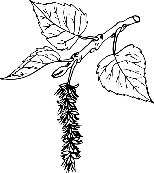 Мильтон и Булька Мильтон и Булька