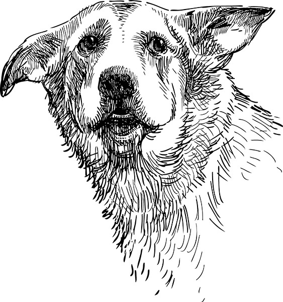 Мильтон и Булька Мильтон и Булька