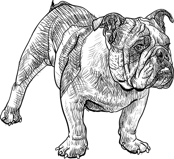 Мильтон и Булька Мильтон и Булька