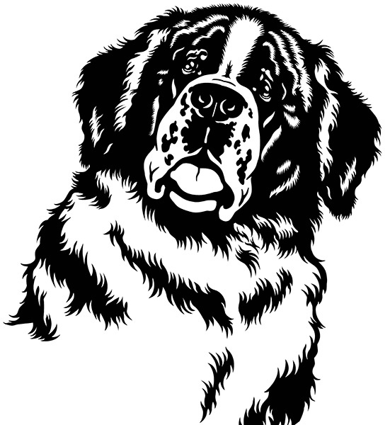 Мильтон и Булька Мильтон и Булька