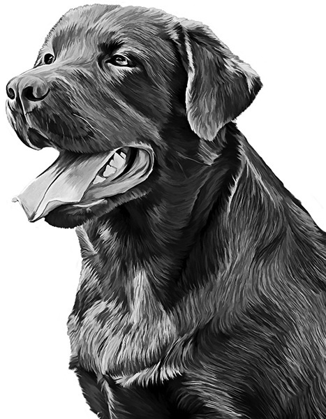 Мильтон и Булька Мильтон и Булька