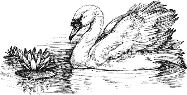 Мильтон и Булька Мильтон и Булька