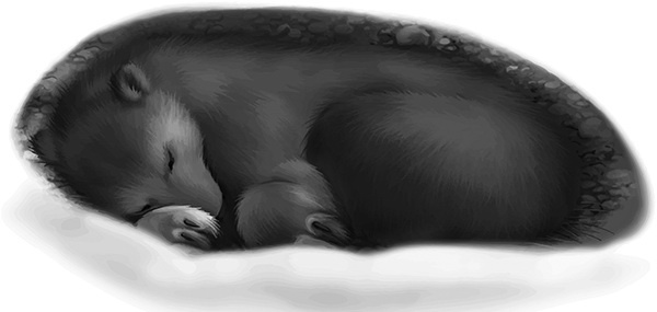 Мильтон и Булька Мильтон и Булька