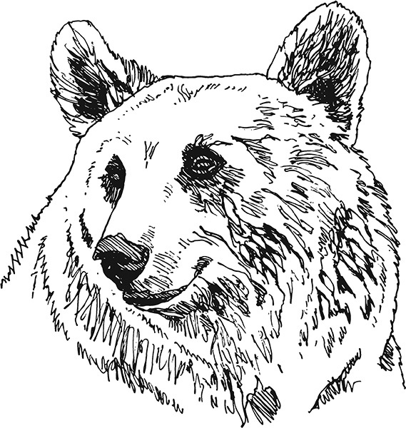 Мильтон и Булька Мильтон и Булька