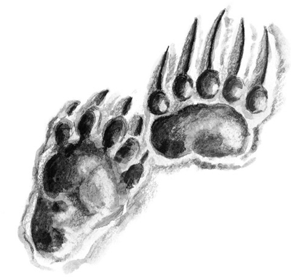 Мильтон и Булька Мильтон и Булька