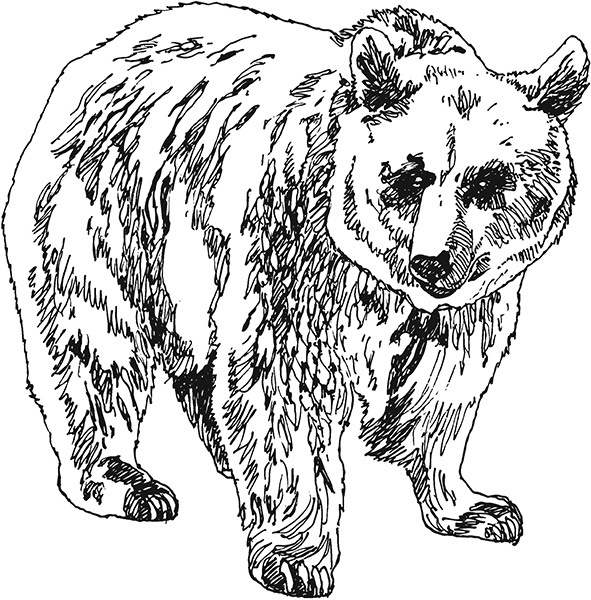 Мильтон и Булька Мильтон и Булька