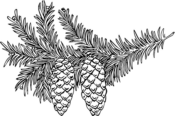 Мильтон и Булька Мильтон и Булька