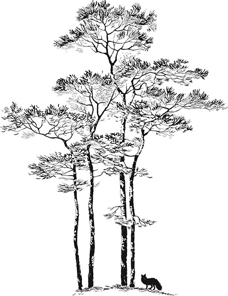 Мильтон и Булька Мильтон и Булька