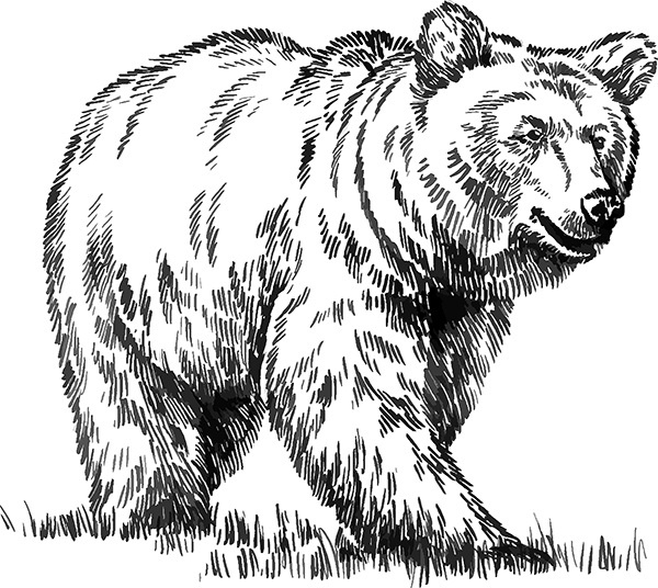 Мильтон и Булька Мильтон и Булька