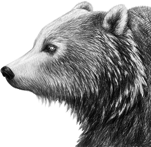 Мильтон и Булька Мильтон и Булька