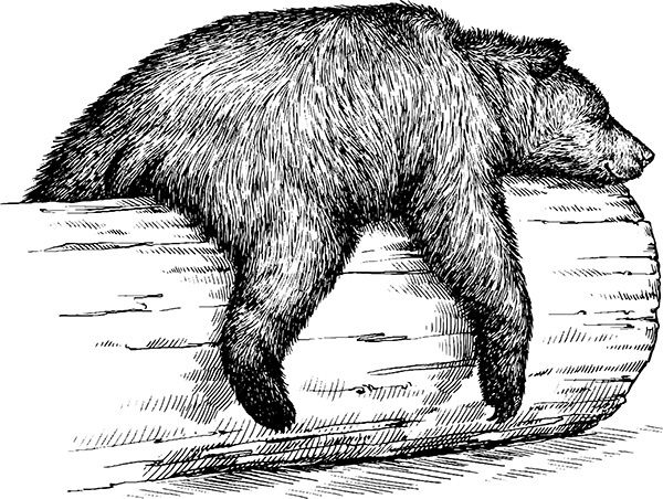 Мильтон и Булька Мильтон и Булька