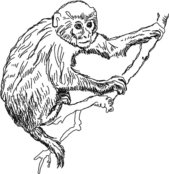 Мильтон и Булька Мильтон и Булька