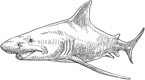 Мильтон и Булька Мильтон и Булька