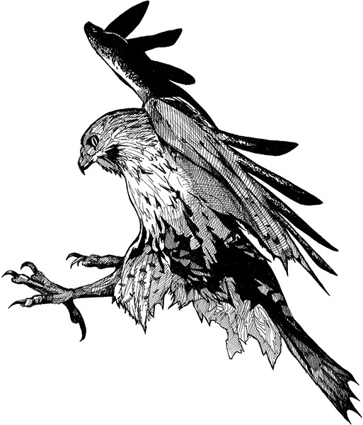 Мильтон и Булька Мильтон и Булька