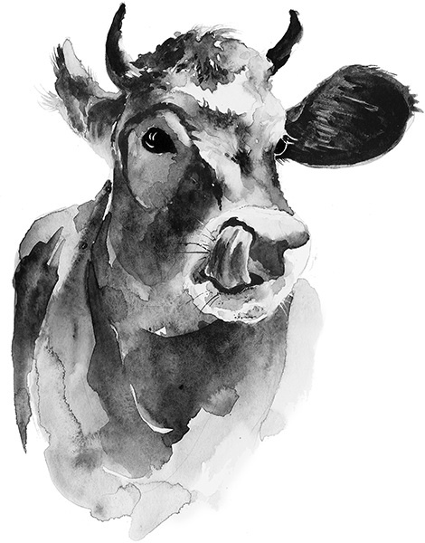 Мильтон и Булька Мильтон и Булька