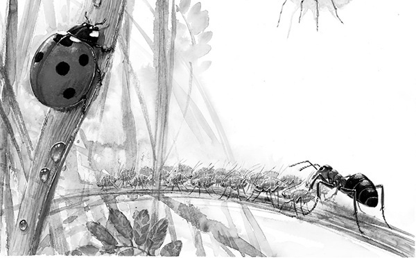 Мильтон и Булька Мильтон и Булька