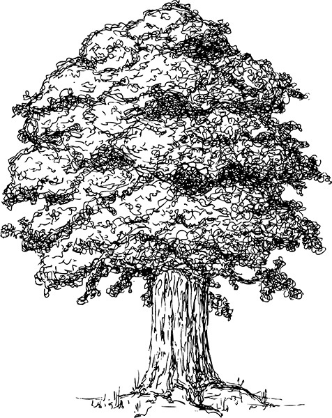 Мильтон и Булька Мильтон и Булька