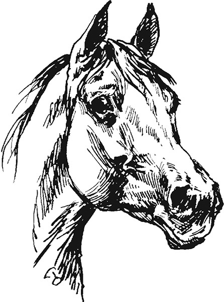 Мильтон и Булька Мильтон и Булька