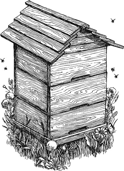 Мильтон и Булька Мильтон и Булька