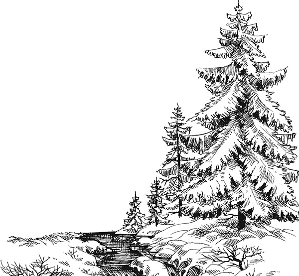 Мильтон и Булька Мильтон и Булька