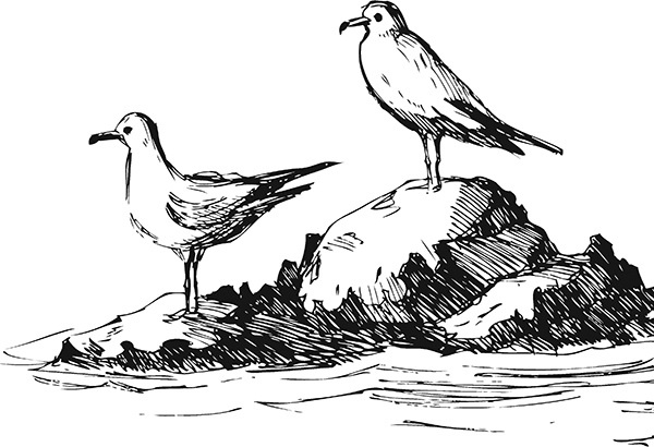 Мильтон и Булька Мильтон и Булька