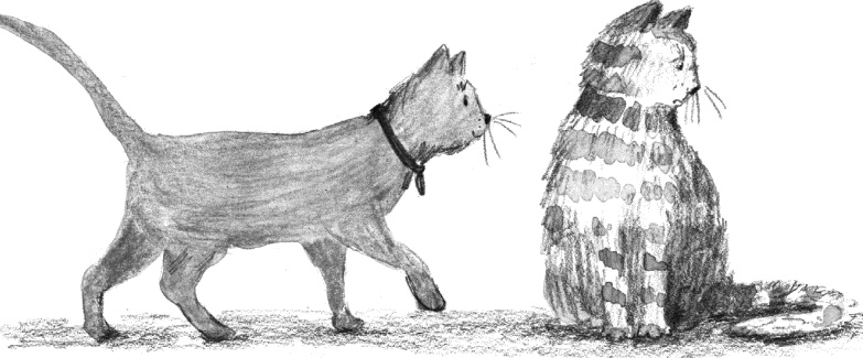 Алфи. Вдали от дома Алфи. Вдали от дома