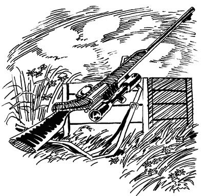 Под Большой Медведицей Под Большой Медведицей