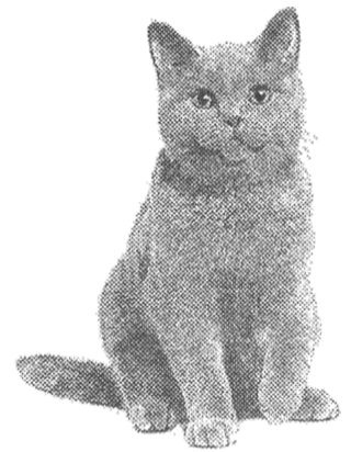 Алфи и Джордж Алфи и Джордж