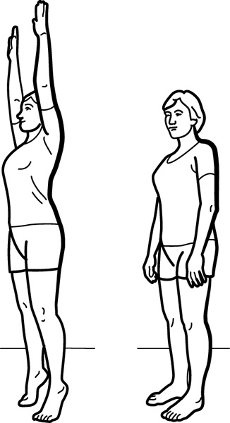 Артерии и вены. Советы и рекомендации ведущих врачей