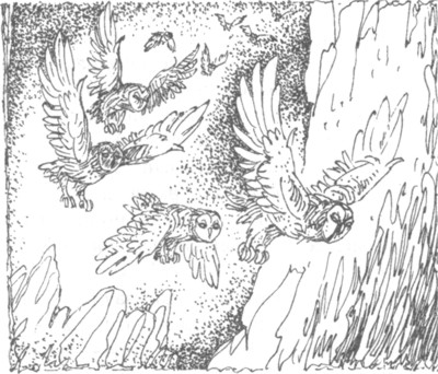 Ночные стражи. Наследник Ночные стражи. Наследник