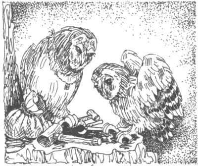 Ночные стражи. Наследник Ночные стражи. Наследник