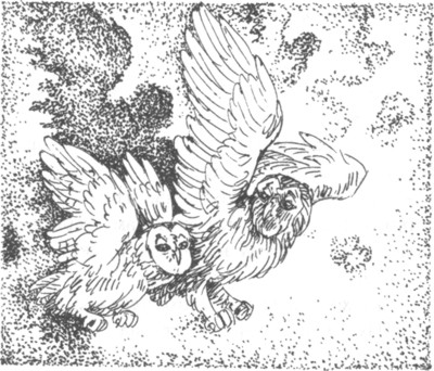 Ночные стражи. Наследник Ночные стражи. Наследник