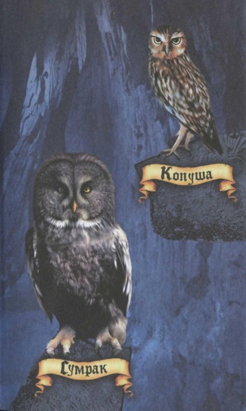 Ночные стражи. Наследник Ночные стражи. Наследник