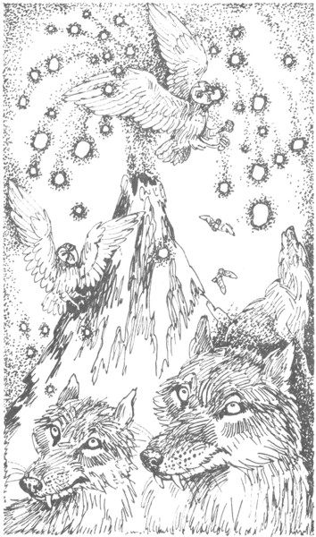 Ночные стражи. Изгнанник