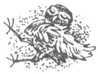 Ночные стражи. Изгнанник Ночные стражи. Изгнанник