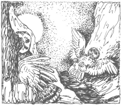 Ночные стражи. Изгнанник Ночные стражи. Изгнанник